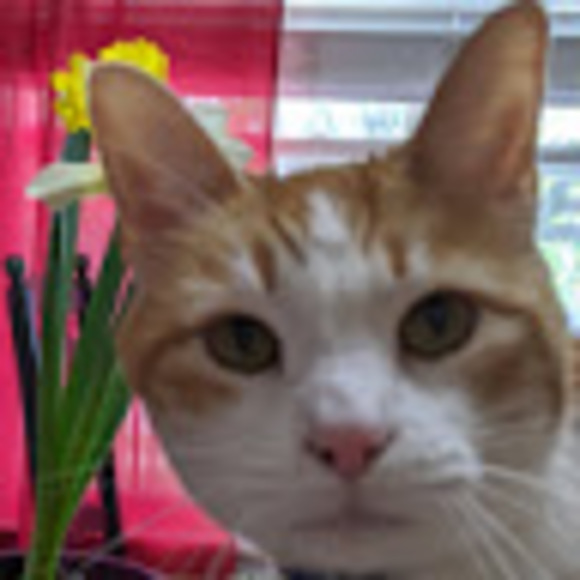 Meet your Posher, Kathryn - Picture 1 of 1